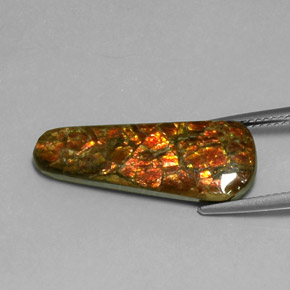 7.59克拉天然菊石，异形，不透明