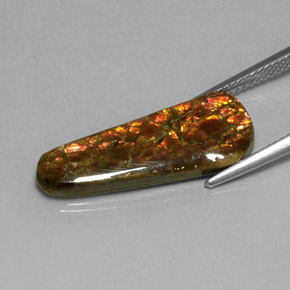 7.59克拉天然菊石，异形，不透明