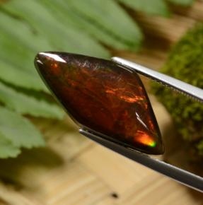 8.14克拉天然多色菊石宝石，异形，23.1×11.1毫米，不透明