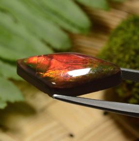 8.14克拉天然多色菊石宝石，异形，23.1×11.1毫米，不透明