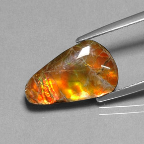 5.20克拉天然菊石，异形，不透明