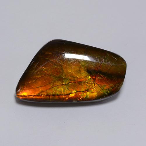8.62克拉天然多色菊石宝石，异形，19×11.1毫米，不透明