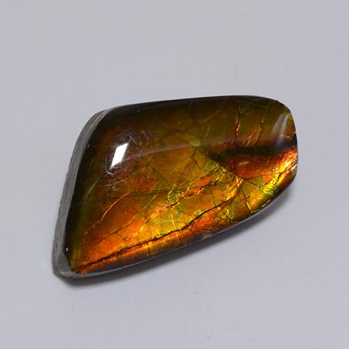8.62克拉天然多色菊石宝石，异形，19×11.1毫米，不透明
