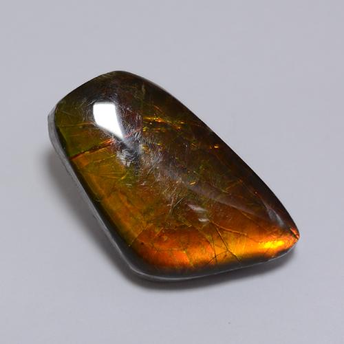 8.62克拉天然多色菊石宝石，异形，19×11.1毫米，不透明