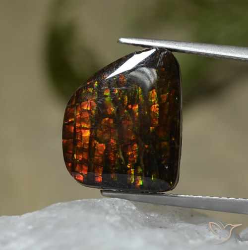 7.67ct 天然 彩色 菊石, 花式切割, 不透明
