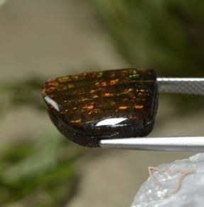 7.67克拉天然菊石，花式切割，不透明