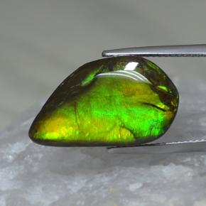 9.88克拉天然多色菊石宝石，异形，22×12.8毫米，不透明