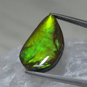 9.88克拉天然多色菊石宝石，异形，22×12.8毫米，不透明