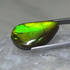 9.88克拉天然多色菊石宝石，异形，22×12.8毫米，不透明