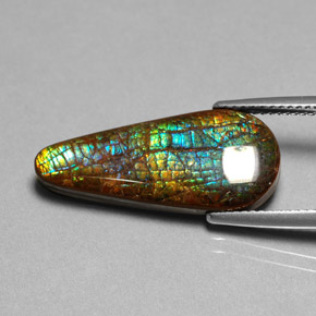 8.53克拉天然菊石，梨形，不透明