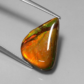 7.22克拉天然多色菊石宝石，异形，19.2×13毫米，不透明
