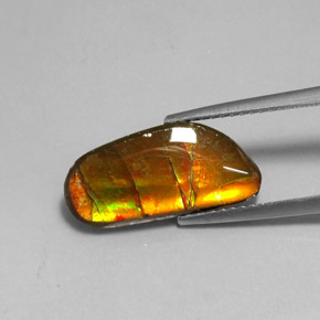 3.60克拉天然多色菊石宝石，异形，17.3×8.1毫米，不透明
