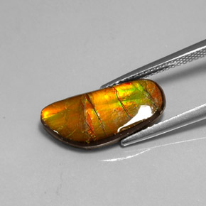 3.60克拉天然多色菊石宝石，异形，17.3×8.1毫米，不透明