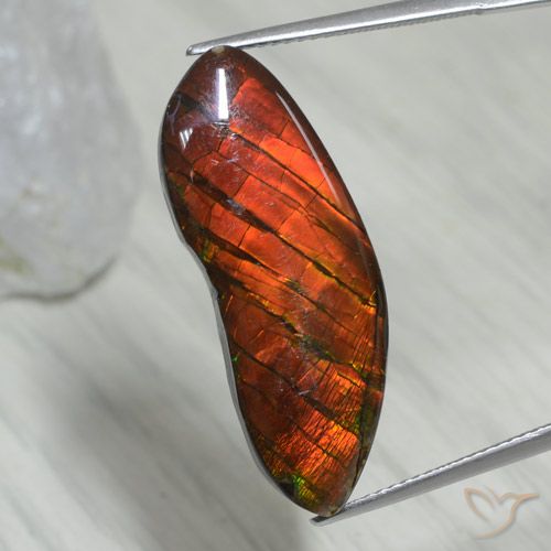 15.54ct 天然 彩色 菊石, 花式切割, 不透明