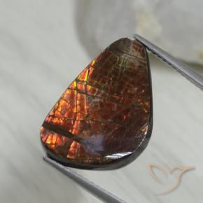 8.09克拉天然菊石，花式切割，不透明