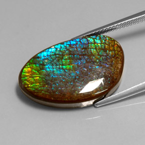 16.45克拉天然菊石，异形，不透明