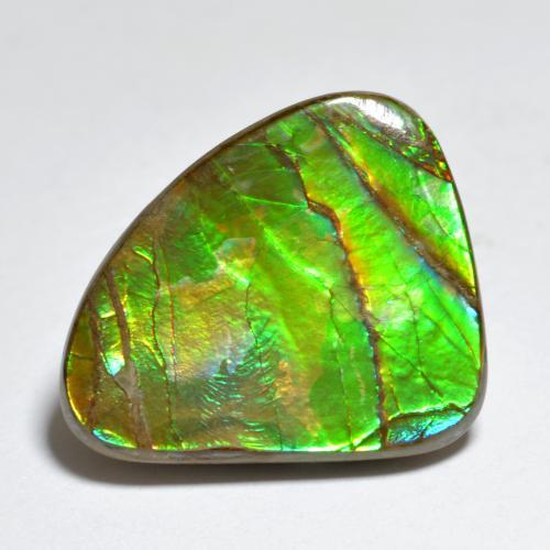 7.29克拉天然多色菊石宝石，异形，19.3×15.7毫米，不透明