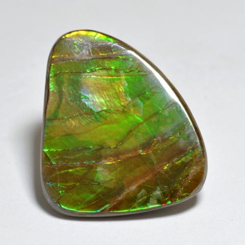 7.29克拉天然多色菊石宝石，异形，19.3×15.7毫米，不透明