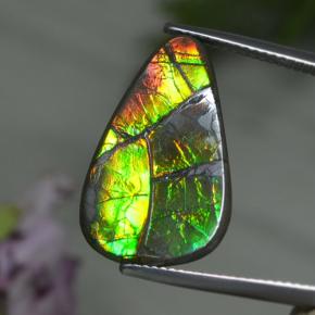 8.39克拉天然多色菊石宝石，异形，22.3×13.9毫米，不透明