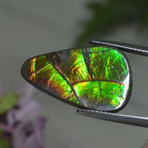 8.39克拉天然多色菊石宝石，异形，22.3×13.9毫米，不透明