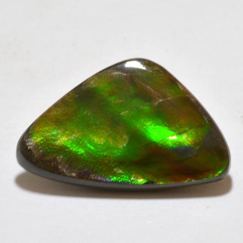 7.10克拉天然多色菊石宝石，异形，20.5×13毫米，不透明