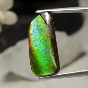 5.29克拉天然多色菊石宝石，异形，19.5×8.8毫米，不透明