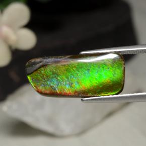 5.29克拉天然多色菊石宝石，异形，19.5×8.8毫米，不透明