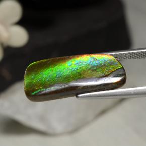 5.29克拉天然多色菊石宝石，异形，19.5×8.8毫米，不透明