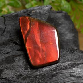 6.67克拉天然菊石，异形，不透明