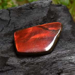 6.67克拉天然菊石，异形，不透明