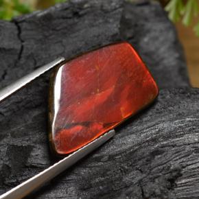 6.67克拉天然菊石，异形，不透明