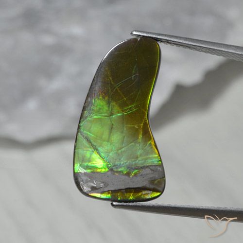 7.43ct 天然 彩色 菊石, 花式切割, 不透明