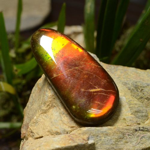 23.51ct 天然 彩色 菊石, 花式切割, 不透明