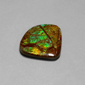 18.68克拉天然多色菊石宝石，异形，24.6×22.3毫米，不透明
