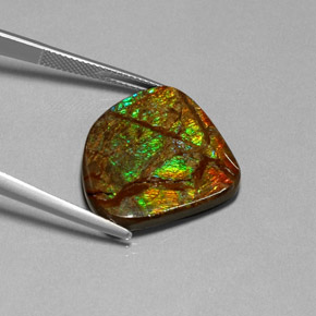 18.68克拉天然多色菊石宝石，异形，24.6×22.3毫米，不透明