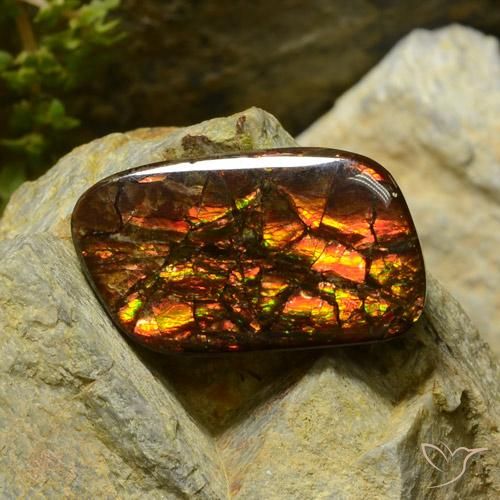 17.42ct 天然 彩色 菊石, 花式切割, 不透明