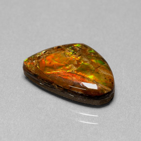 5.71克拉天然多色菊石宝石，异形，16.5×11.1毫米，不透明
