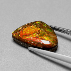 5.71克拉天然多色菊石宝石，异形，16.5×11.1毫米，不透明