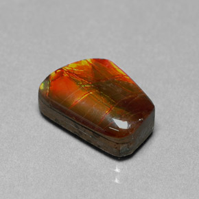 6.41克拉天然多色菊石宝石，异形，14.4×10.2毫米，不透明