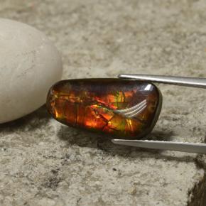 6.70克拉天然多色菊石宝石，异形，18.9×9.7毫米，不透明