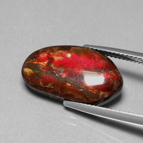 7.65克拉天然多色菊石宝石，异形，19.5×11毫米，不透明