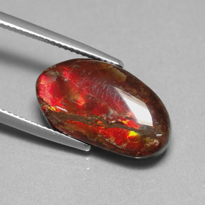7.65克拉天然多色菊石宝石，异形，19.5×11毫米，不透明