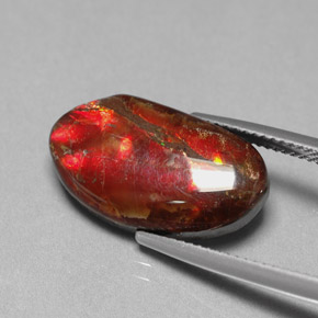 7.65克拉天然多色菊石宝石，异形，19.5×11毫米，不透明