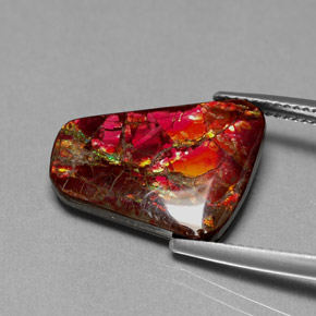 7.81克拉天然多色菊石宝石，异形，17.5×13.1毫米，不透明