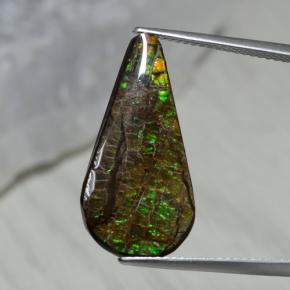 7.94克拉天然多色菊石宝石，梨形，23.5×12毫米，不透明