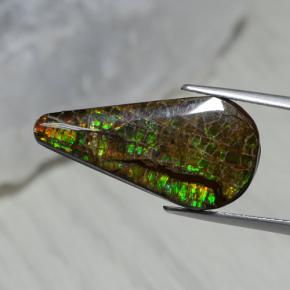 7.94克拉天然多色菊石宝石，梨形，23.5×12毫米，不透明