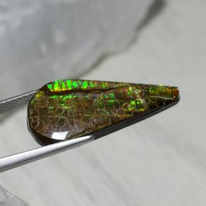7.94克拉天然多色菊石宝石，梨形，23.5×12毫米，不透明