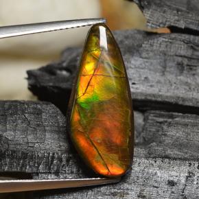 8.00克拉天然多色菊石宝石，异形，22.3×9.7毫米，不透明