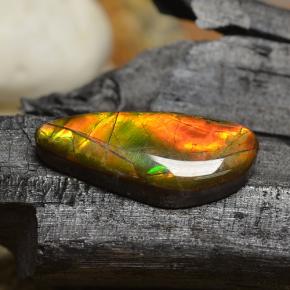 8.00克拉天然多色菊石宝石，异形，22.3×9.7毫米，不透明