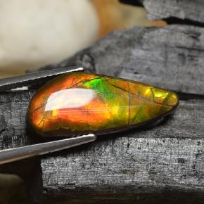8.00克拉天然多色菊石宝石，异形，22.3×9.7毫米，不透明